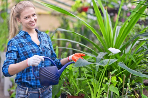 Workers sorting garden waste in Palmers Green